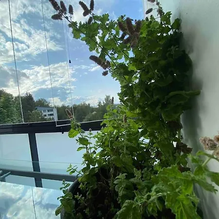 Uusi Saunallinen Kolmio Jaervinaekymaellae Lejlighed Lahti