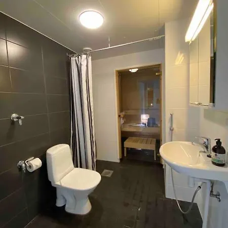 Uusi Saunallinen Kolmio Jaervinaekymaellae *