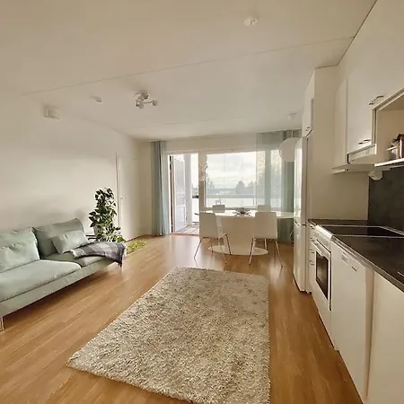 Uusi Saunallinen Kolmio Jaervinaekymaellae